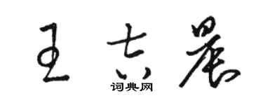 駱恆光王吉晨草書個性簽名怎么寫