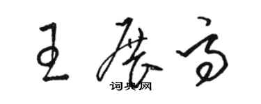 駱恆光王展高草書個性簽名怎么寫