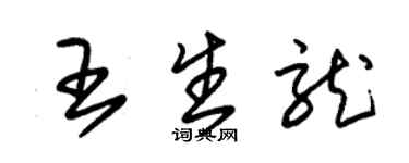 朱錫榮王生龍草書個性簽名怎么寫
