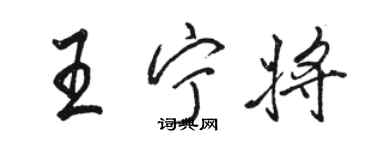 駱恆光王寧將行書個性簽名怎么寫