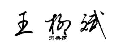 梁錦英王柳斌草書個性簽名怎么寫