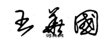 朱錫榮王華國草書個性簽名怎么寫