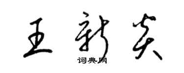 梁錦英王新炎草書個性簽名怎么寫