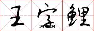 錢沛雲王字鯉行書怎么寫