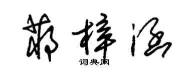 朱錫榮蔣梓涵草書個性簽名怎么寫