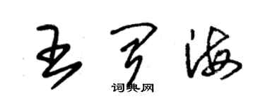 朱錫榮王聞海草書個性簽名怎么寫