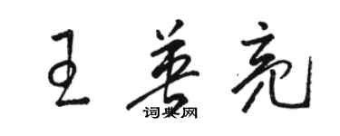 駱恆光王英亮草書個性簽名怎么寫