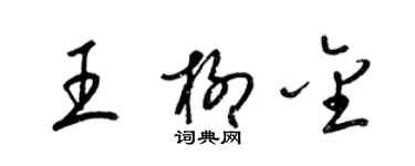 梁錦英王柳金草書個性簽名怎么寫