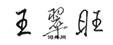 駱恆光王翠旺行書個性簽名怎么寫