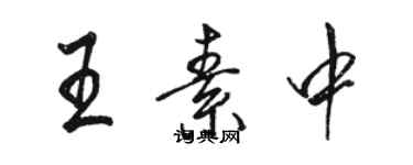 駱恆光王素中行書個性簽名怎么寫