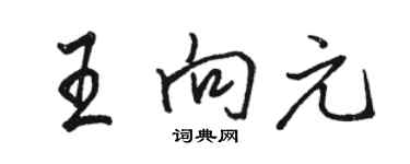 駱恆光王向元行書個性簽名怎么寫