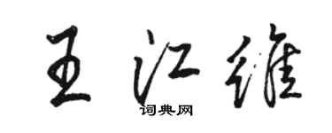 駱恆光王江維行書個性簽名怎么寫