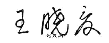 駱恆光王曉夏草書個性簽名怎么寫