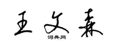 梁錦英王文森草書個性簽名怎么寫