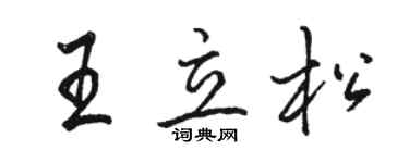 駱恆光王立松行書個性簽名怎么寫