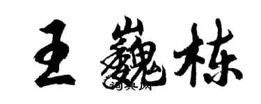 胡問遂王巍棟行書個性簽名怎么寫