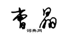 朱錫榮曹晶草書個性簽名怎么寫