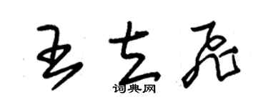 朱錫榮王立飛草書個性簽名怎么寫
