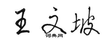 駱恆光王文坡行書個性簽名怎么寫