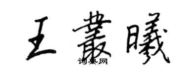 王正良王叢曦行書個性簽名怎么寫