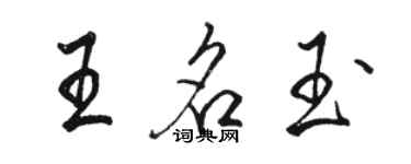 駱恆光王名玉行書個性簽名怎么寫