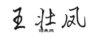 駱恆光王壯鳳行書個性簽名怎么寫