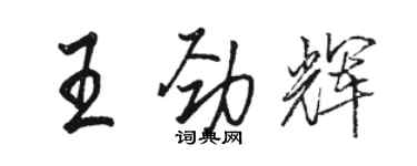 駱恆光王勁輝行書個性簽名怎么寫