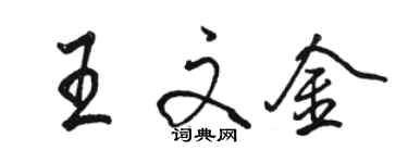 駱恆光王文金行書個性簽名怎么寫