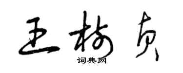 曾慶福王樹貞草書個性簽名怎么寫