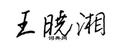 王正良王曉湘行書個性簽名怎么寫