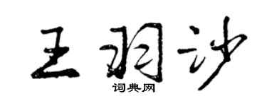 曾慶福王羽沙行書個性簽名怎么寫