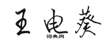 駱恆光王電葵行書個性簽名怎么寫