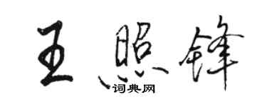 駱恆光王照鋒行書個性簽名怎么寫