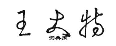 駱恆光王大特草書個性簽名怎么寫