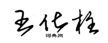 朱錫榮王化柱草書個性簽名怎么寫