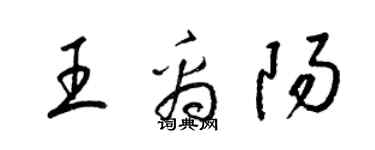 梁錦英王禹陽草書個性簽名怎么寫