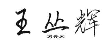 駱恆光王叢輝行書個性簽名怎么寫