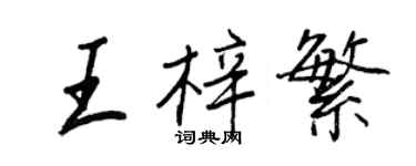 王正良王梓繁行書個性簽名怎么寫