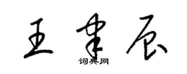 梁錦英王聿辰草書個性簽名怎么寫