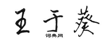 駱恆光王於葵行書個性簽名怎么寫