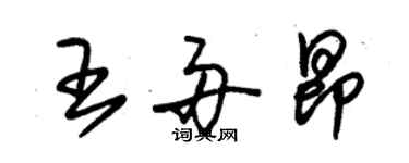 朱錫榮王舟昂草書個性簽名怎么寫