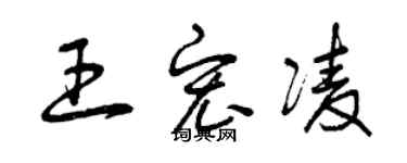 曾慶福王宏凌草書個性簽名怎么寫