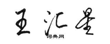 駱恆光王匯星行書個性簽名怎么寫