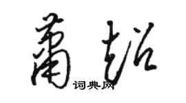 駱恆光蕭超草書個性簽名怎么寫
