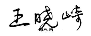 曾慶福王曉崎草書個性簽名怎么寫