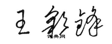 駱恆光王彩鋒草書個性簽名怎么寫