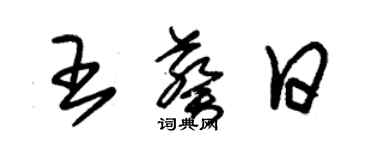朱錫榮王葵日草書個性簽名怎么寫