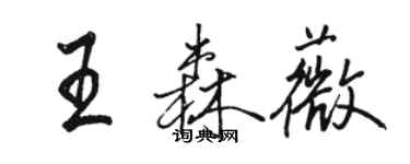 駱恆光王森薇行書個性簽名怎么寫