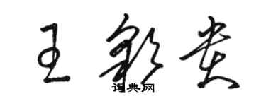 駱恆光王彩貴草書個性簽名怎么寫