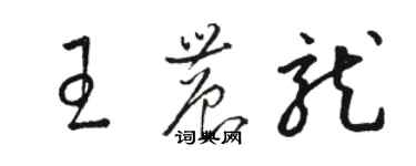 駱恆光王農龍草書個性簽名怎么寫